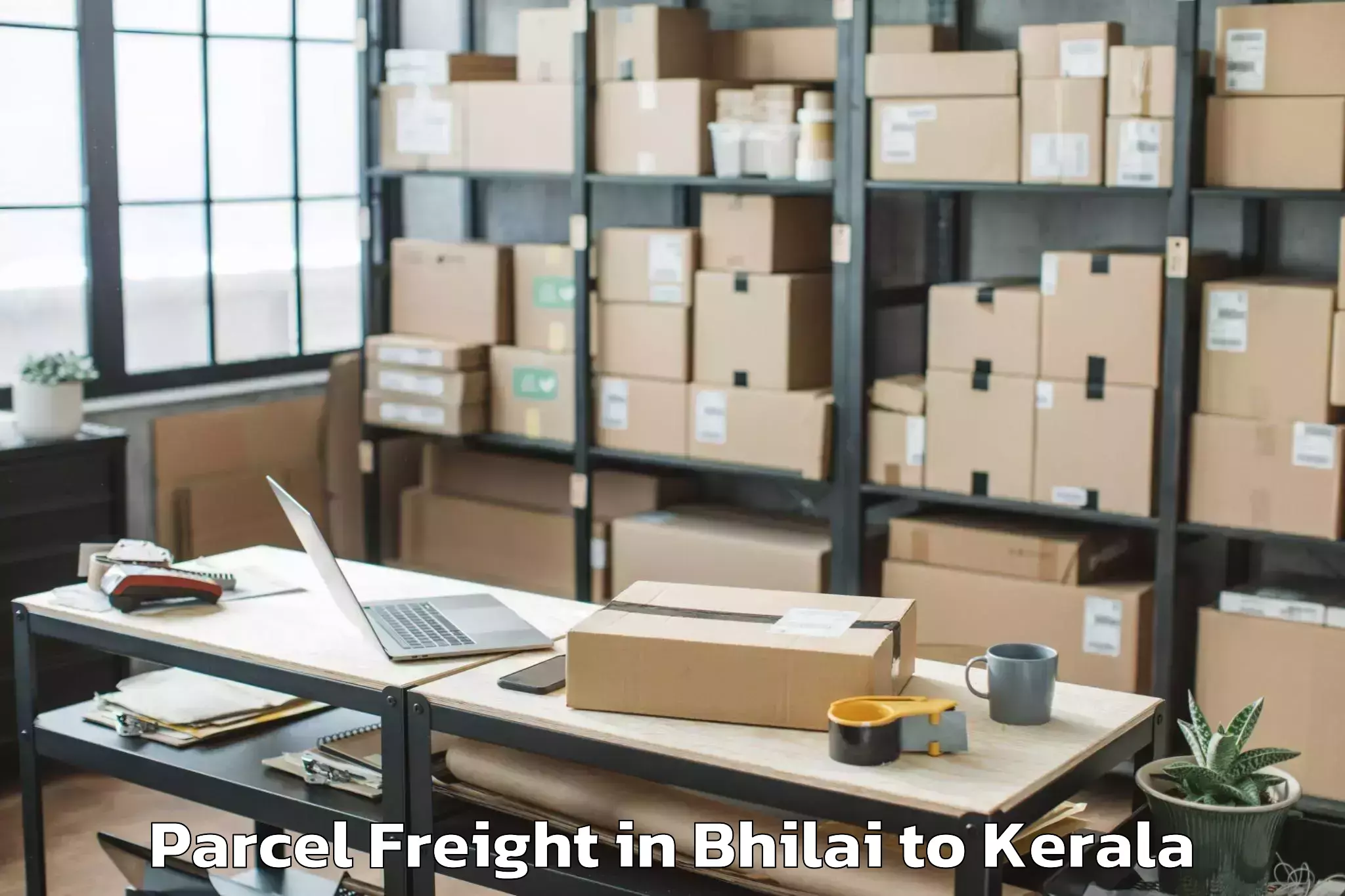 Top Bhilai to Karthikappally Parcel Freight Available